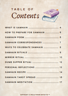 DIGITAL DOWNLOAD- SAMHEIN GUIIDEBOOK-21 pages PLANNER-FREEBEE.Digital instant DownloaAD-PRINTIBLE