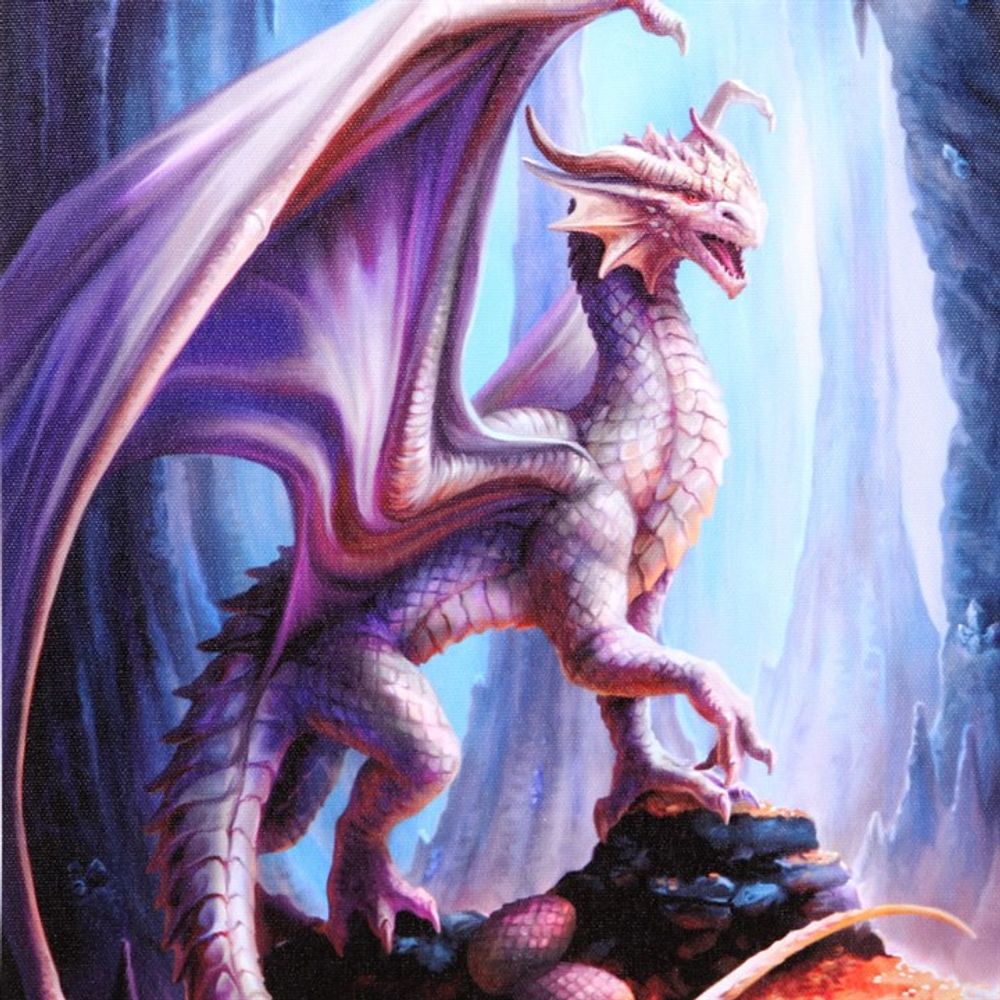 19x25cm Treasure Trove Canvas Plaque by Anne Stokes N/A