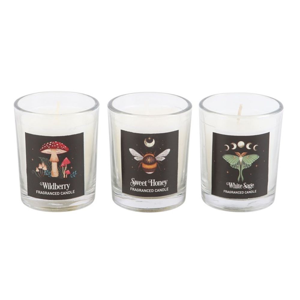 Dark Forest Votive Candle Trio N/A