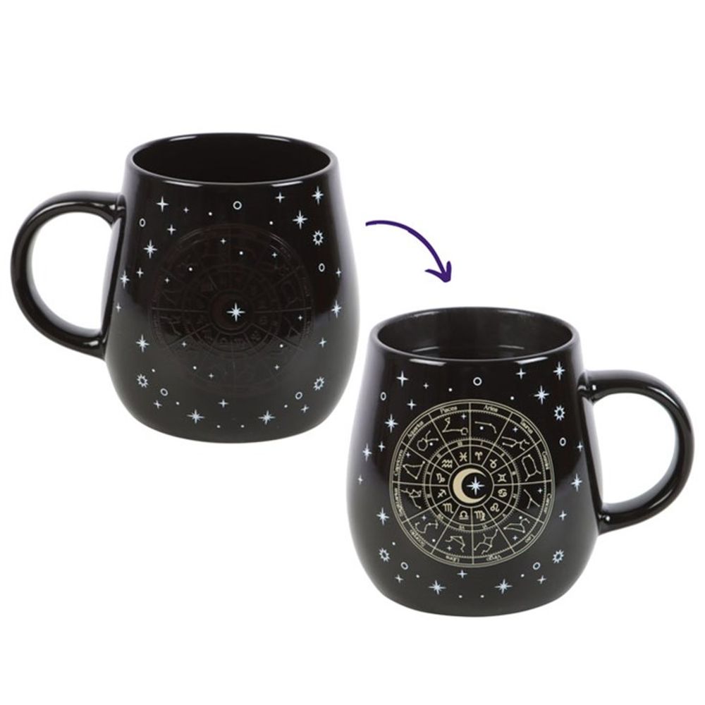 Astrology Wheel Heat Change Mug N/A