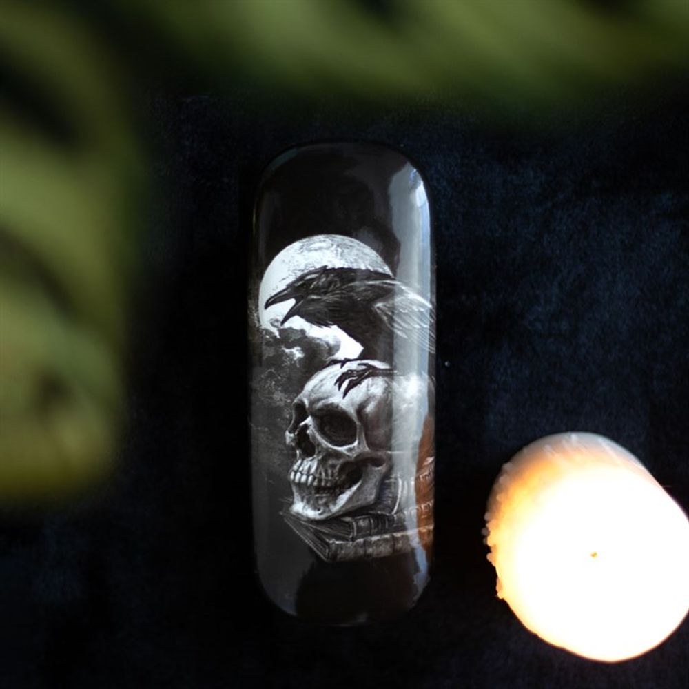 Poe's Raven Glasses Case by Alchemy N/A