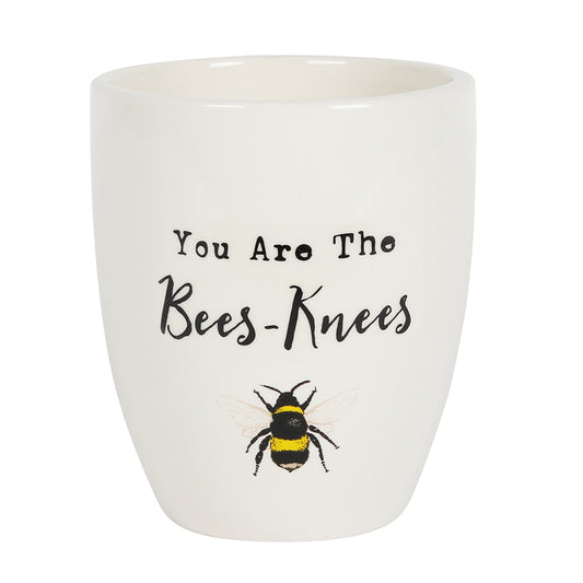 You Are the Bees Knees Ceramic Plant Pot Wonkey Donkey Bazaar