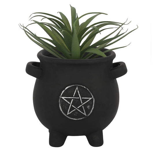 Pentagram Cauldron Plant Pot Wonkey Donkey Bazaar