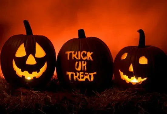 HALLOWEEN/PAGAN/ Fairy house incense burner by Lisa ParkeR Unbranded