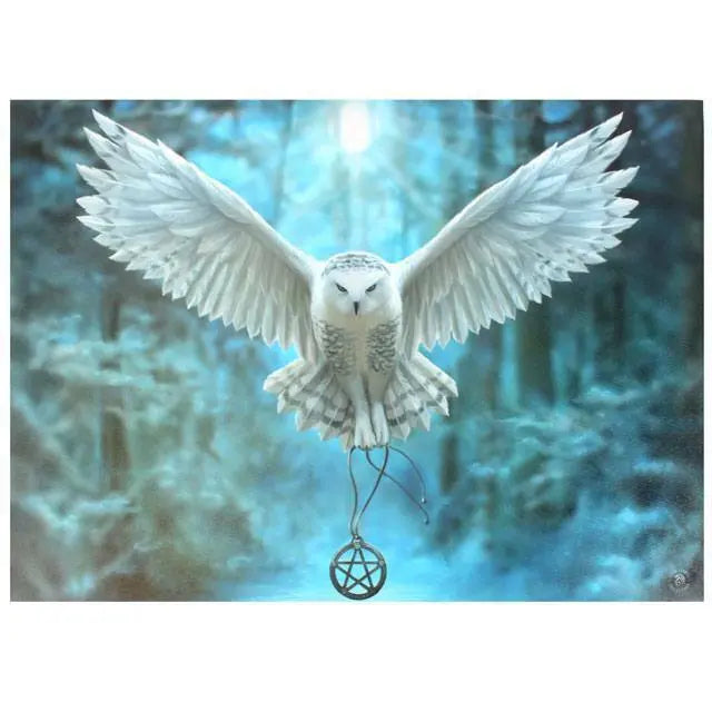 PAGAN/WICCAN/ Small Awake Magic Canvas H:25.40cm xW:19.30cm xD:1.20cm Anne Stokes