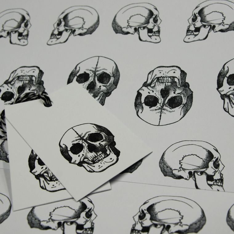 Vintage Skulls Wrapping Paper Gothic Gift Wrap The Gothic Stationery Company