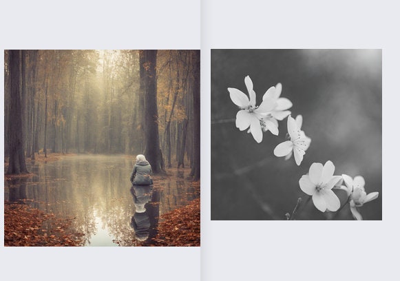 Grief Relief Journal and Reframing Lonliness workbook-printable/ digital download-197 pages, original artwork by licenced artist-Aditi-Kali) Etsy