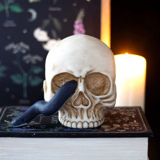 Skull Ornament with Snake N/A