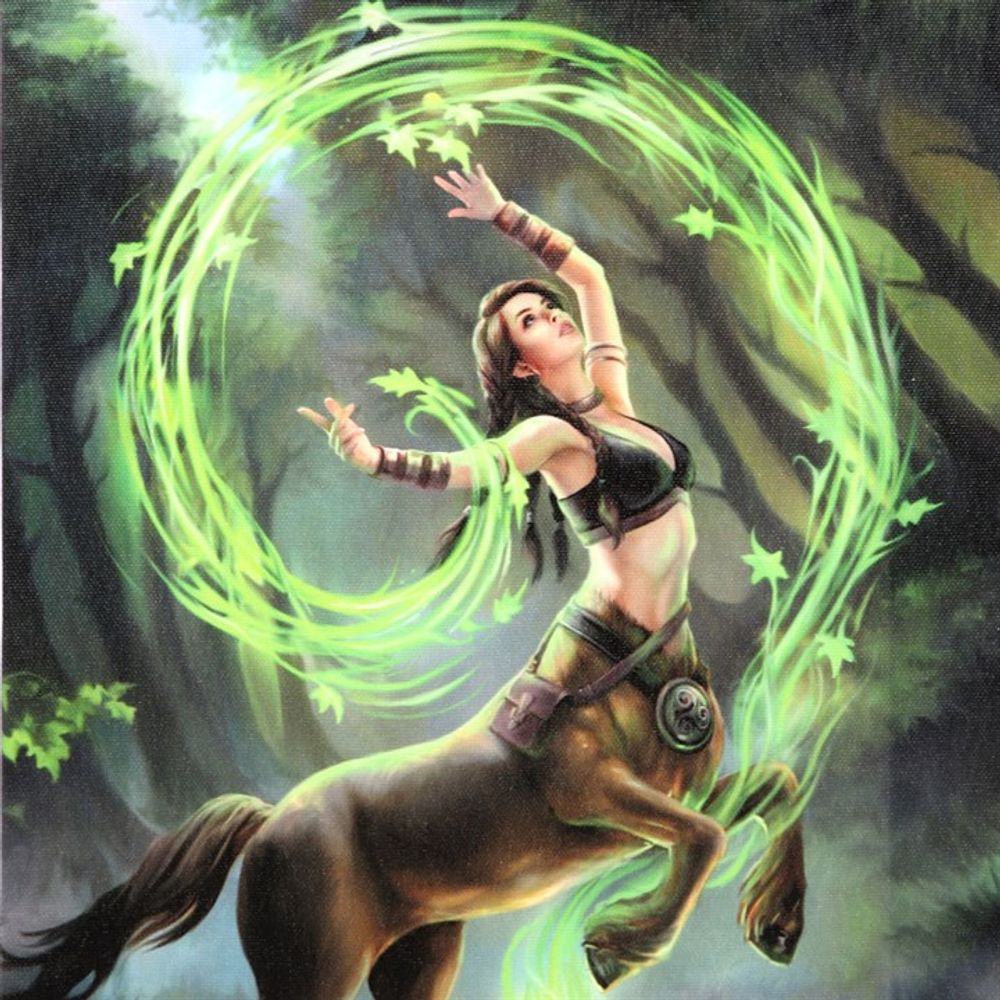 19x25cm Earth Element Sorceress Canvas Plaque by Anne Stokes N/A