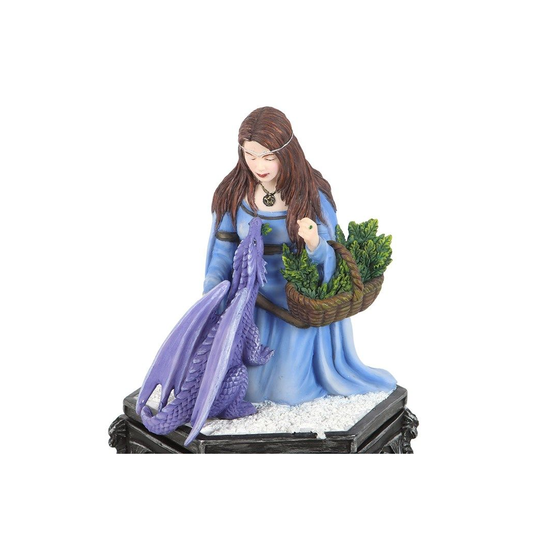 Dragon Friendship Winter Box by Anne Stokes N/A