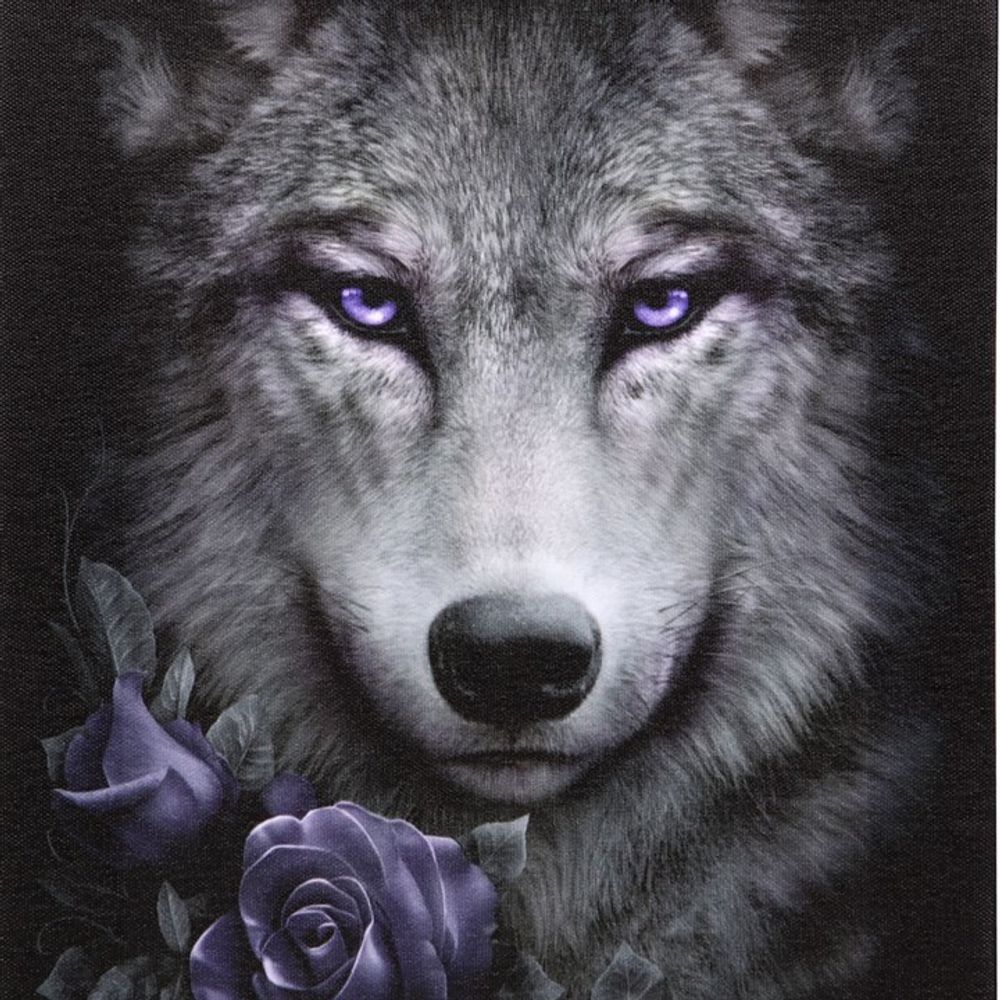 19x25cm Wolf Roses Canvas Plaque by Spiral Direct N/A