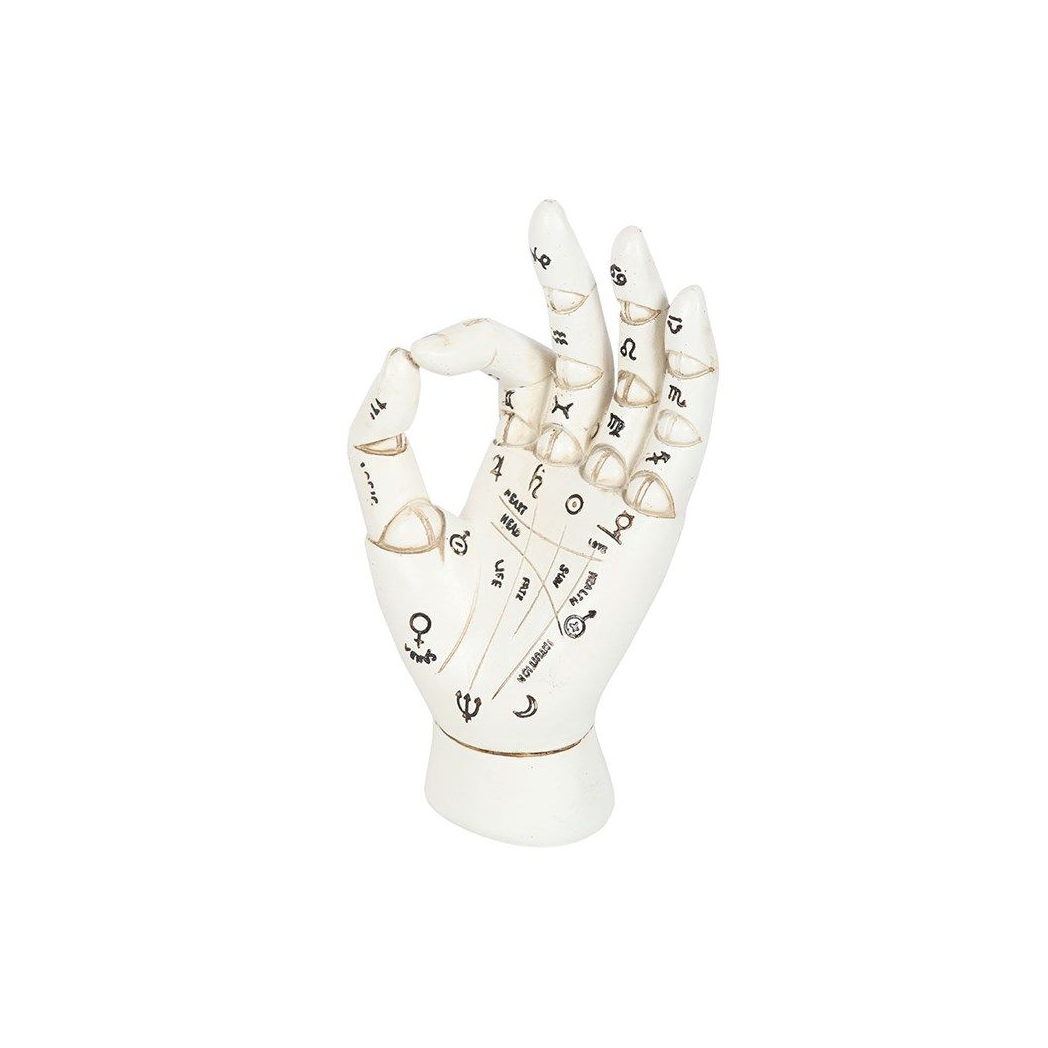 White Palmistry Hand Ornament N/A