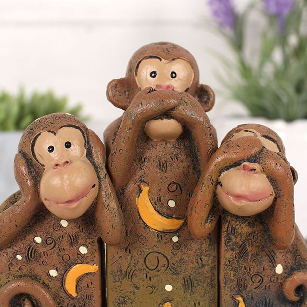 See, Speak, Hear No Evil Monkeys N/A