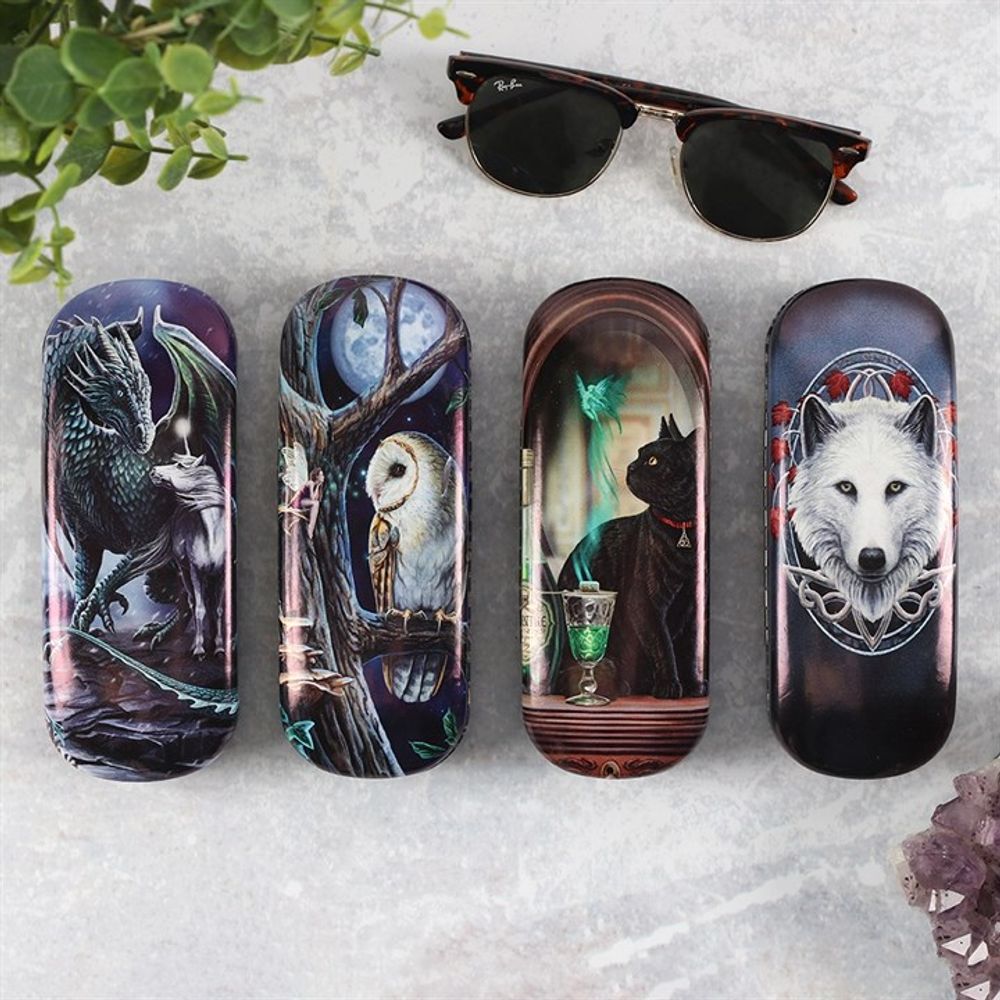 Fairy Tales Glasses Case by Lisa Parker N/A