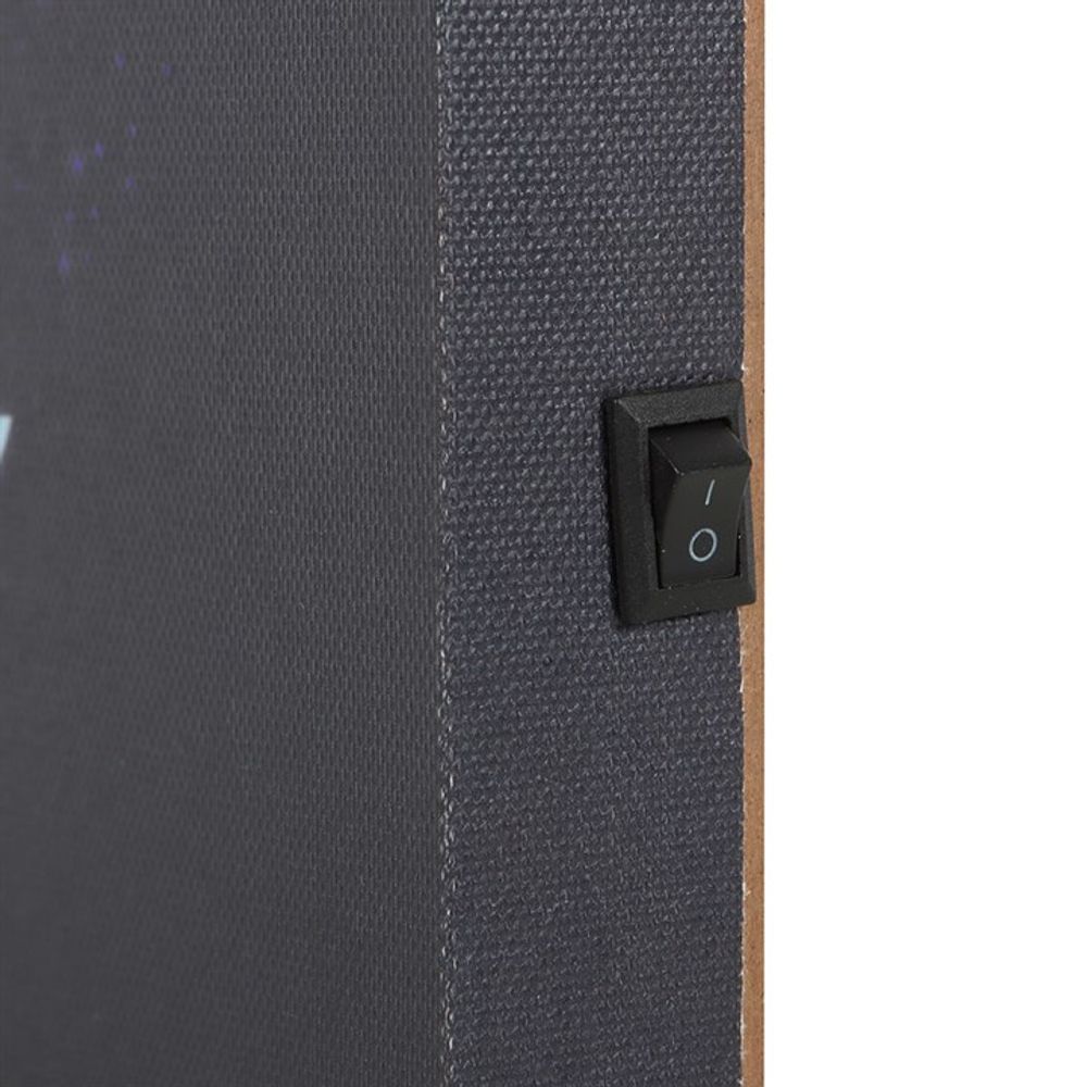 Night Owl Light Up Canvas Plaque N/A