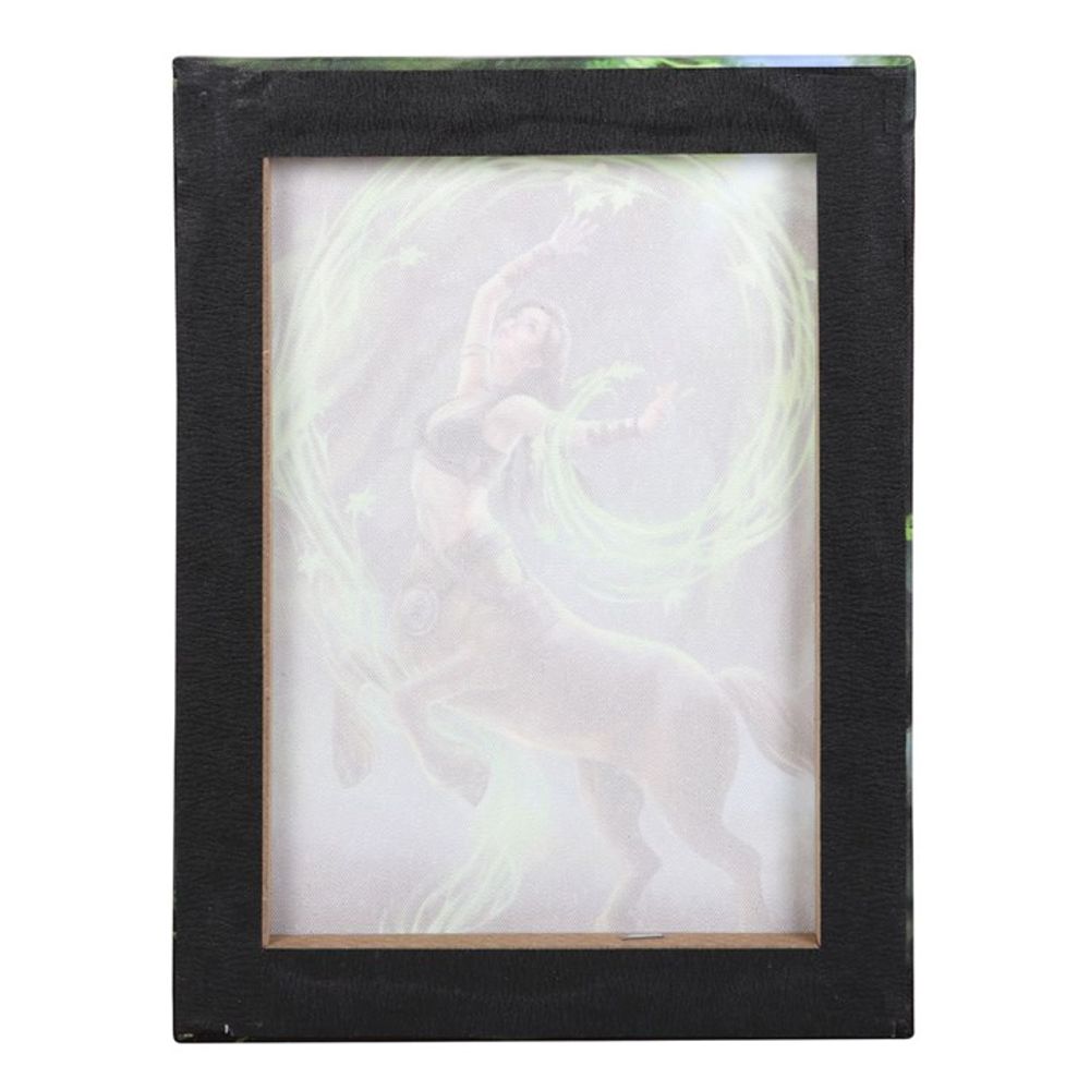 19x25cm Earth Element Sorceress Canvas Plaque by Anne Stokes N/A