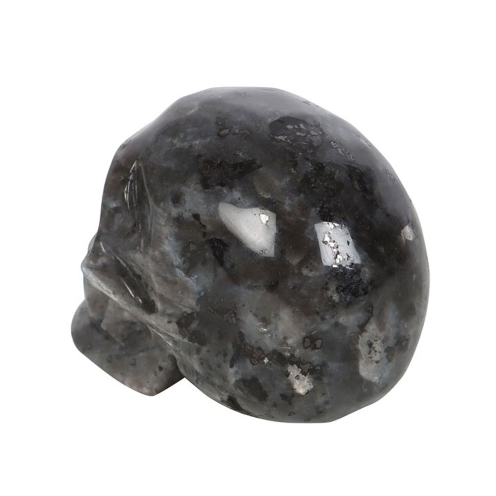 Black Labradorite  Crystal Skull N/A