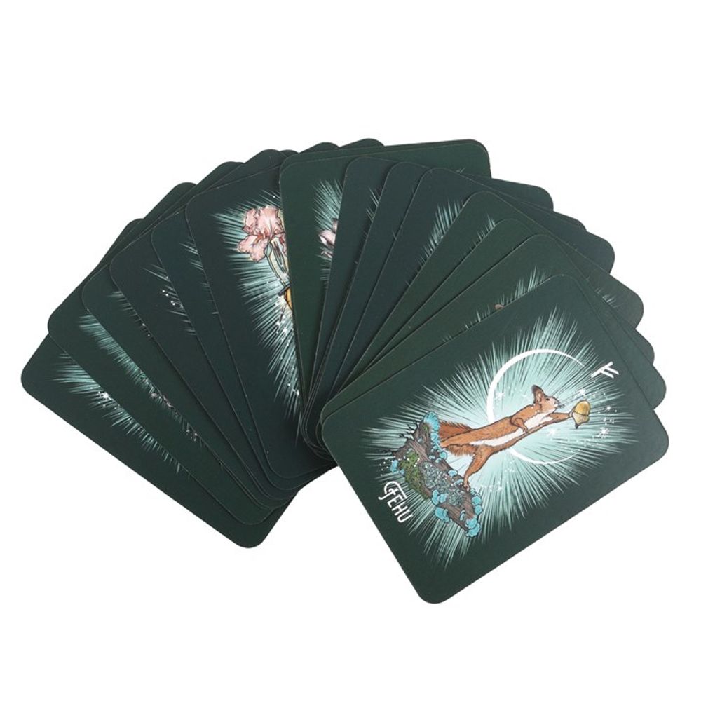 The Witch’s Familiar Runic Oracle Cards N/A