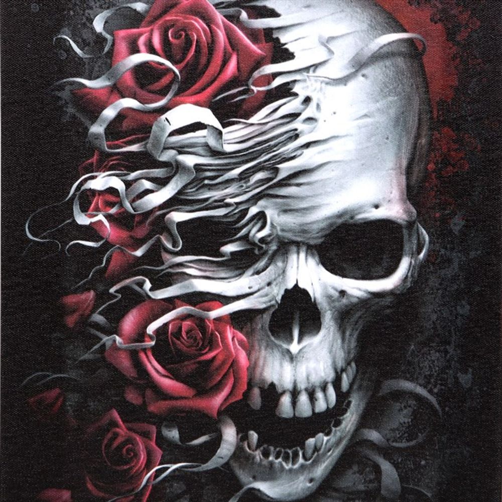 19x25cm Skulls n Roses Canvas Plaque by Spiral Direct N/A
