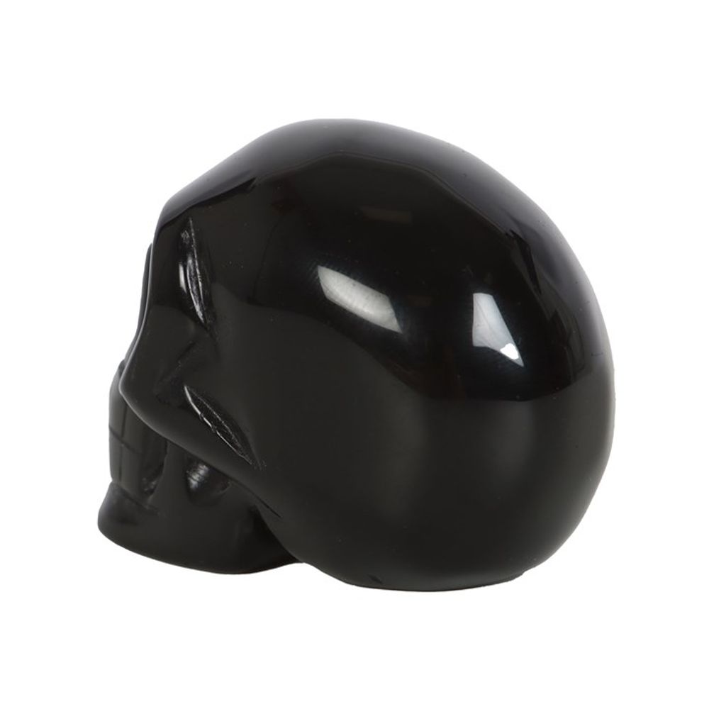 Black Obsidian Crystal Skull N/A