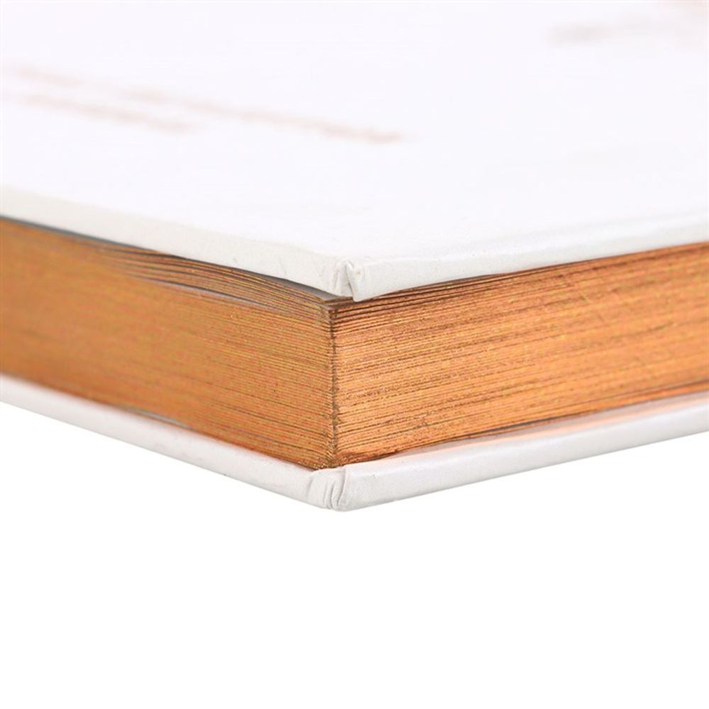 Luna Moth Daily Reflection Journal N/A