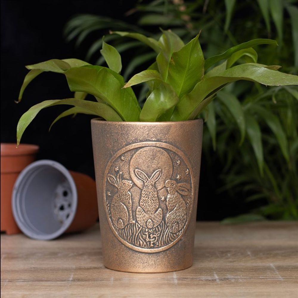 Moon Shadows Bronze Terracotta Plant Pot by Lisa Parker N/A