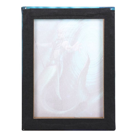 19x25cm Water Element Wizard Canvas Plaque by Anne Stokes N/A
