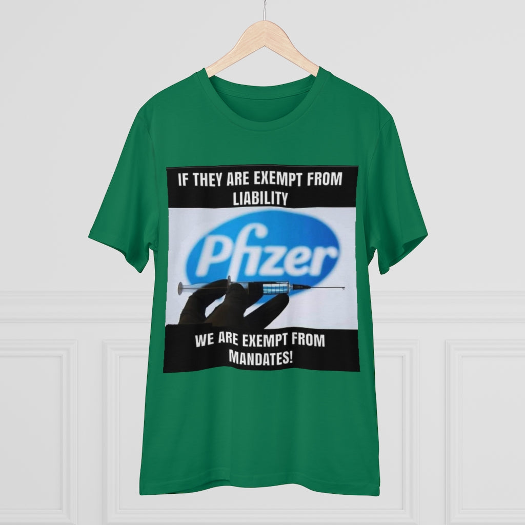 Organic Creator T-shirt - Unisex..jib Printify