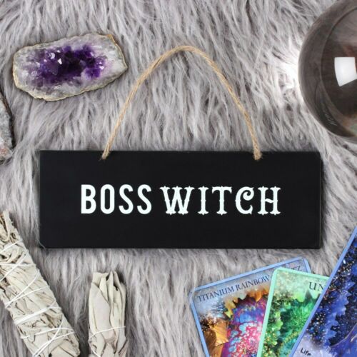 PAGAN WICCA NEWAGE Don't Let Anybody Steal Your Magic Wall /BOSS WITCH Sign.MDF none
