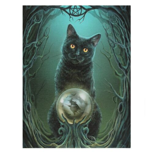 PAGAN/WICCAN/NEW AGE 19x25cm Rise of the Witches Canvas Plaque by Lisa Parker Lisa Parker