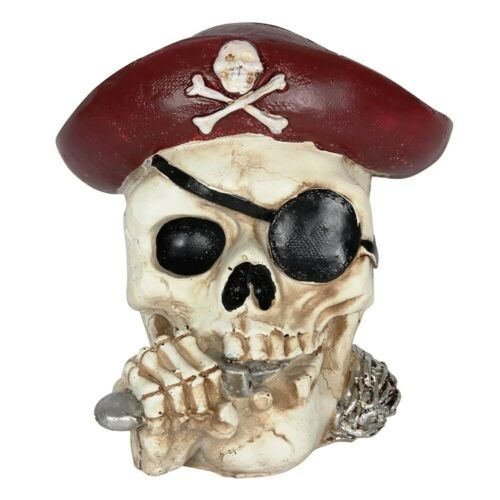 PAGAN/WITCHY/GOTHIC/HALLOWEEN-PIRATE MONEY BOX Unbranded