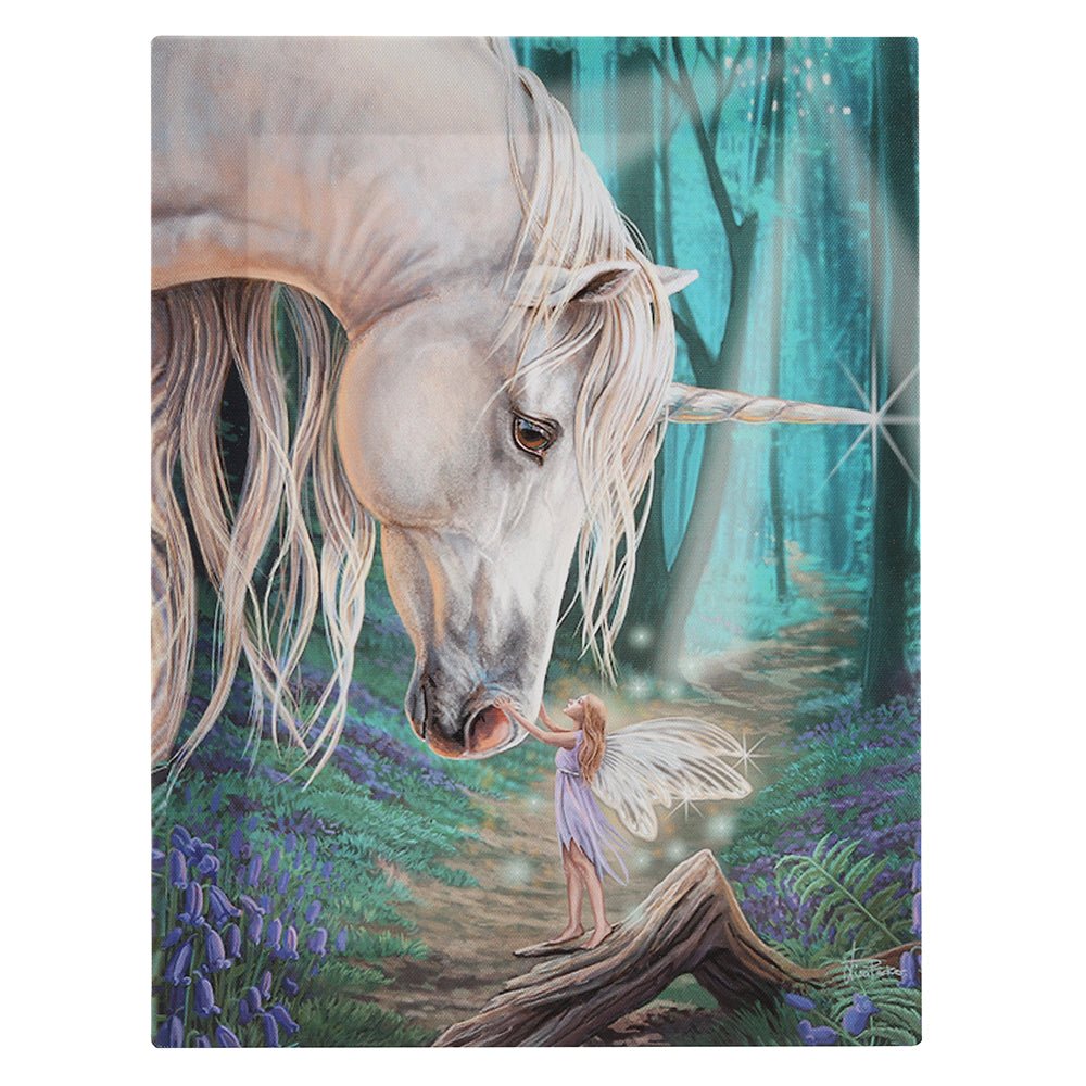 19x25cm Fairy Whispers Canvas Plaque by Lisa Parker Wonkey Donkey Bazaar