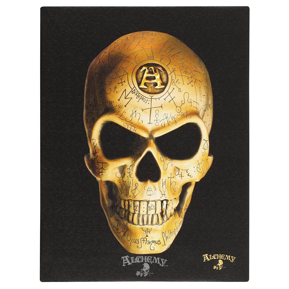 19x25cm Omega Skull Canvas Plaque by Alchemy Wonkey Donkey Bazaar
