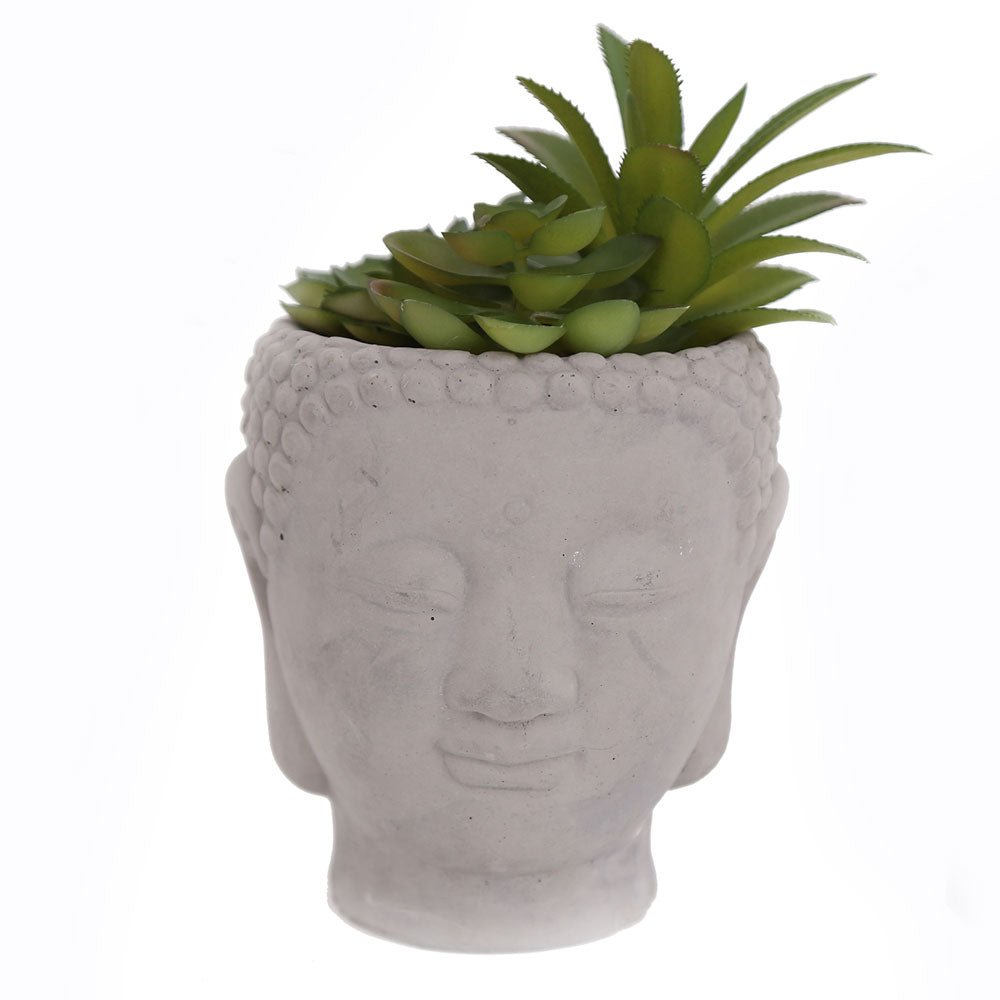 20cm Buddha Head Succulent - Wonkey Donkey Bazaar
