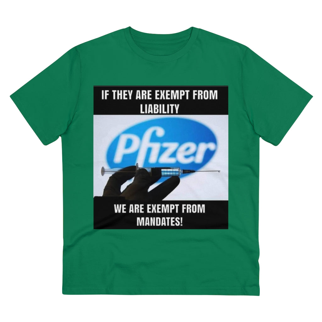 Organic Creator T-shirt - Unisex..jib Printify