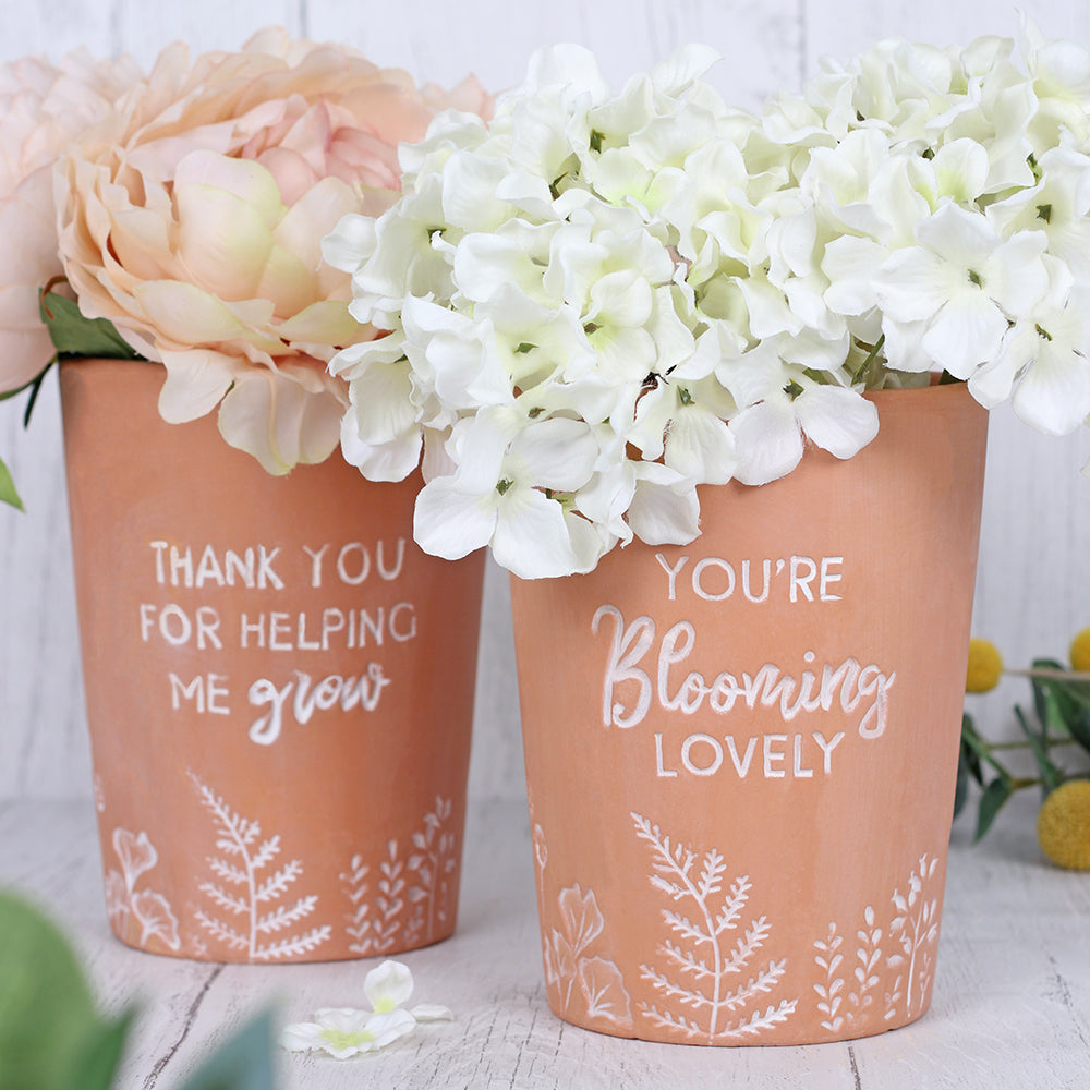 You're Blooming Lovely Terracotta Plant Pot Wonkey Donkey Bazaar