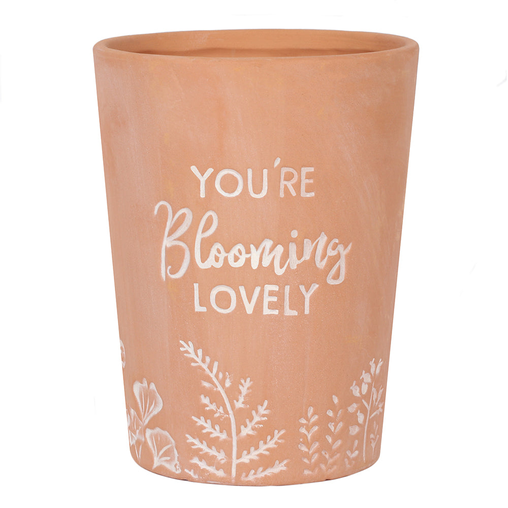 You're Blooming Lovely Terracotta Plant Pot Wonkey Donkey Bazaar