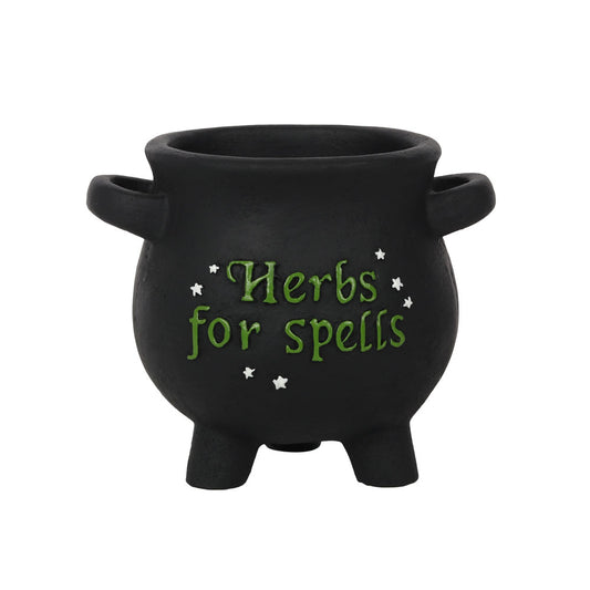 Small Herbs For Spells Cauldron Plant Pot Wonkey Donkey Bazaar
