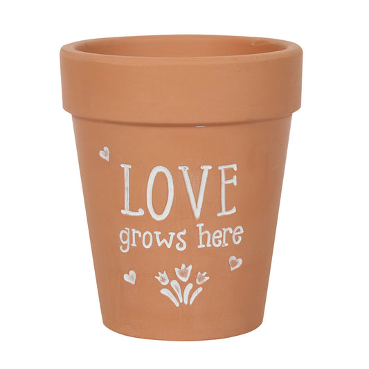 Love Grows Here Terracotta Plant Pot Wonkey Donkey Bazaar