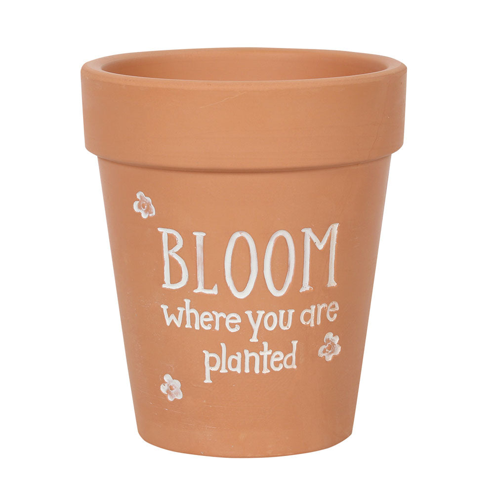 Bloom Where You Are Planted Terracotta Plant Pot Wonkey Donkey Bazaar
