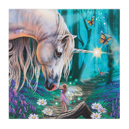 Fairy Whispers Light Up Canvas Plaque by Lisa Parker Wonkey Donkey Bazaar