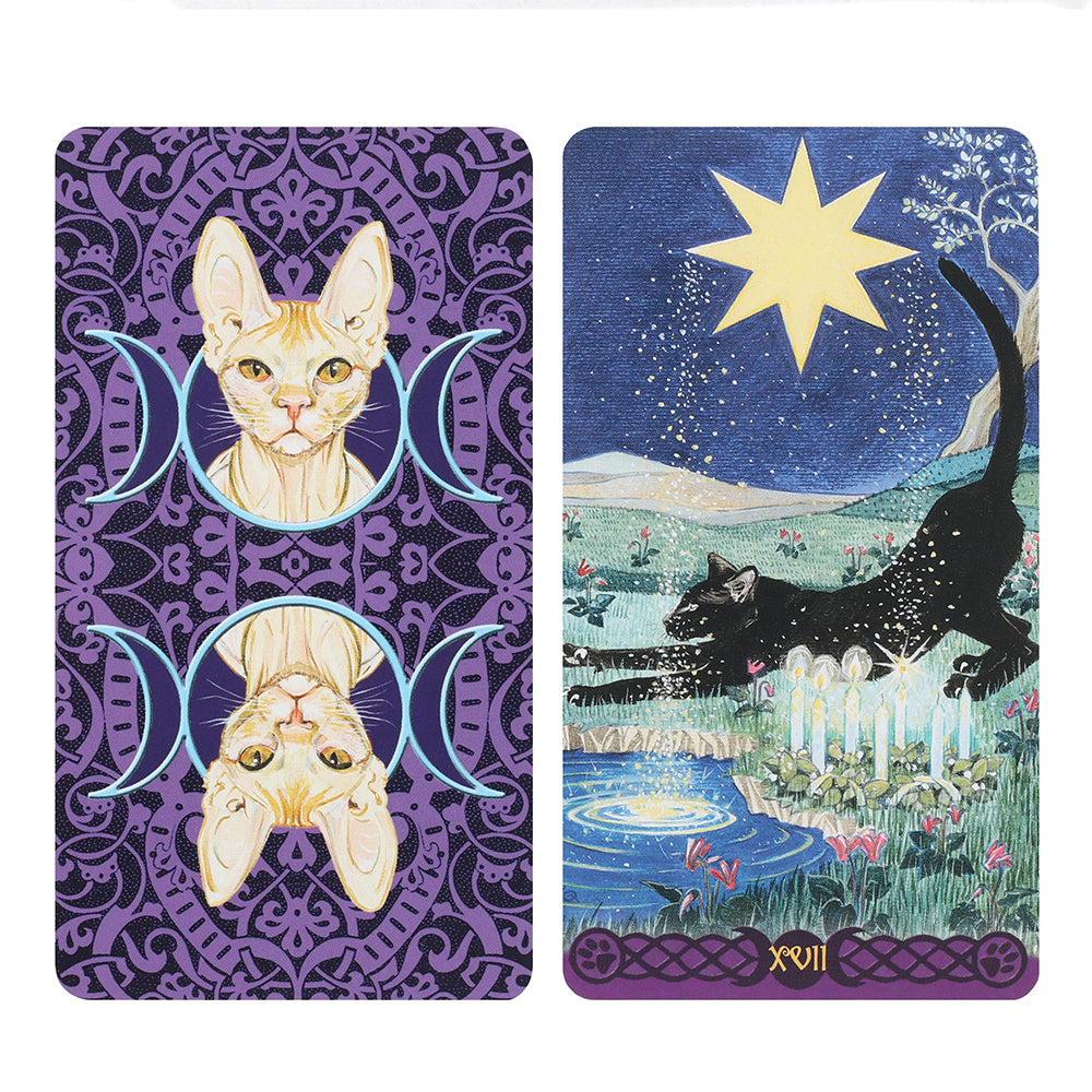 Pagan Cats Tarot Cards Wonkey Donkey Bazaar