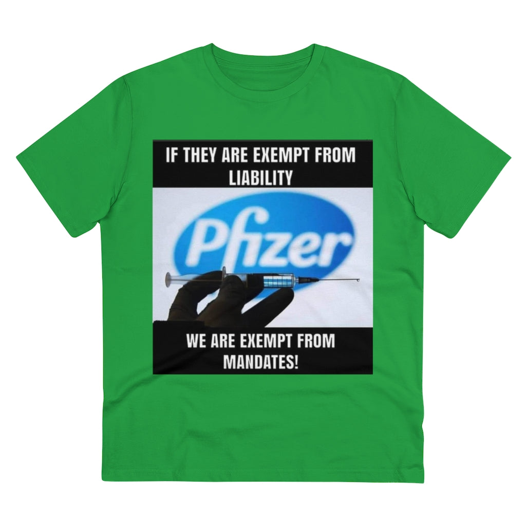 Organic Creator T-shirt - Unisex..jib Printify