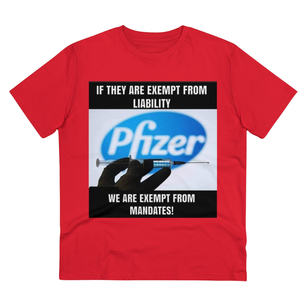 Organic Creator T-shirt - Unisex..jib Printify