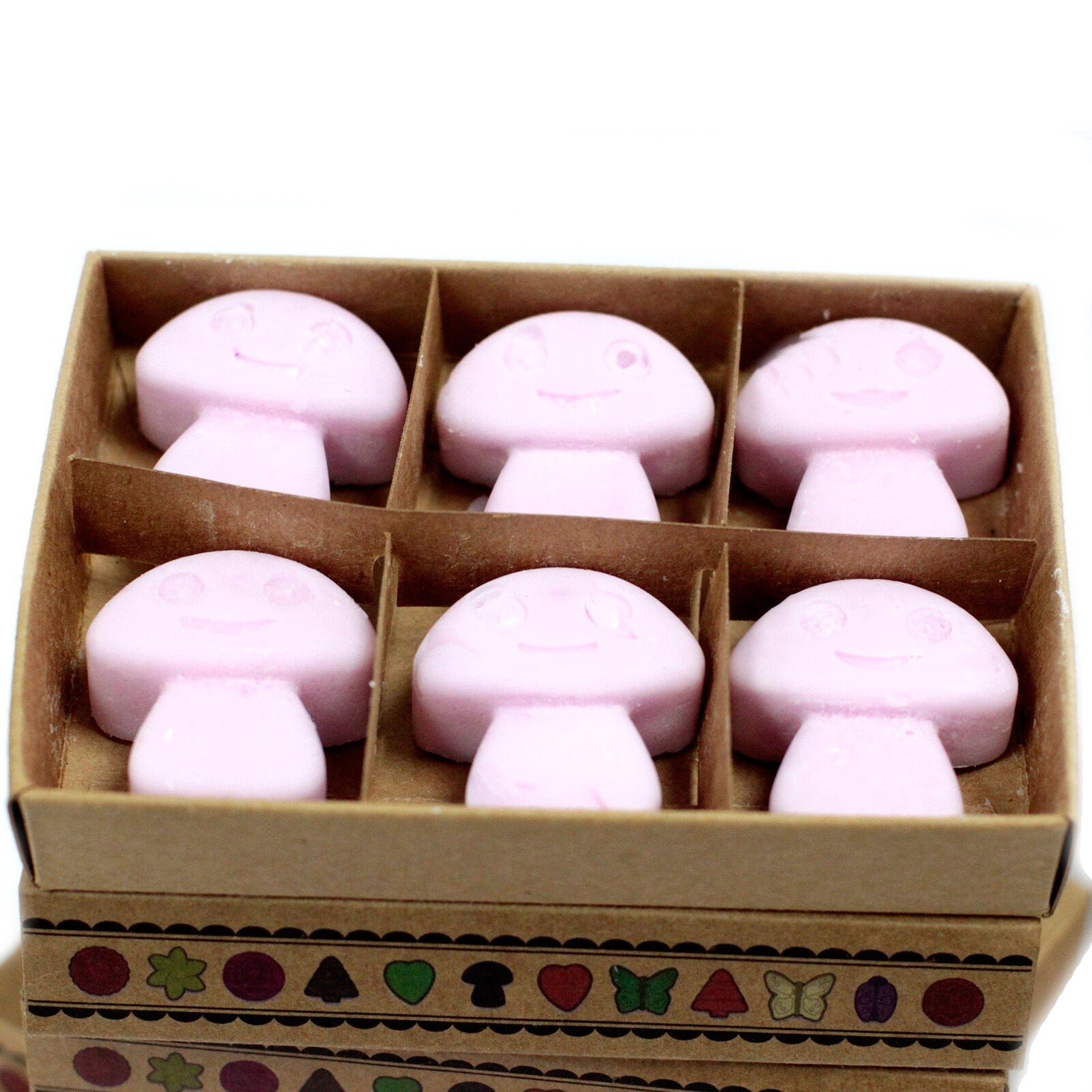 Box of 6 Oil Burner hand-made Soy Wax Melts - Ylang Ylang essential oil in display box Wonkey Donkey Bazaar