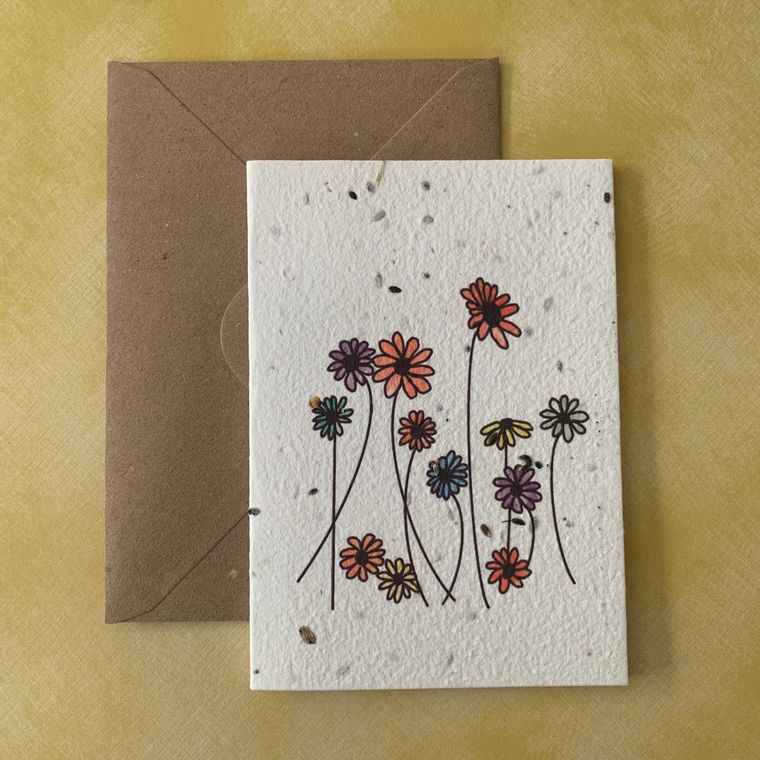 Rainbow Daisies - Plantable Botanical Seed Card Plantiful Paper Company